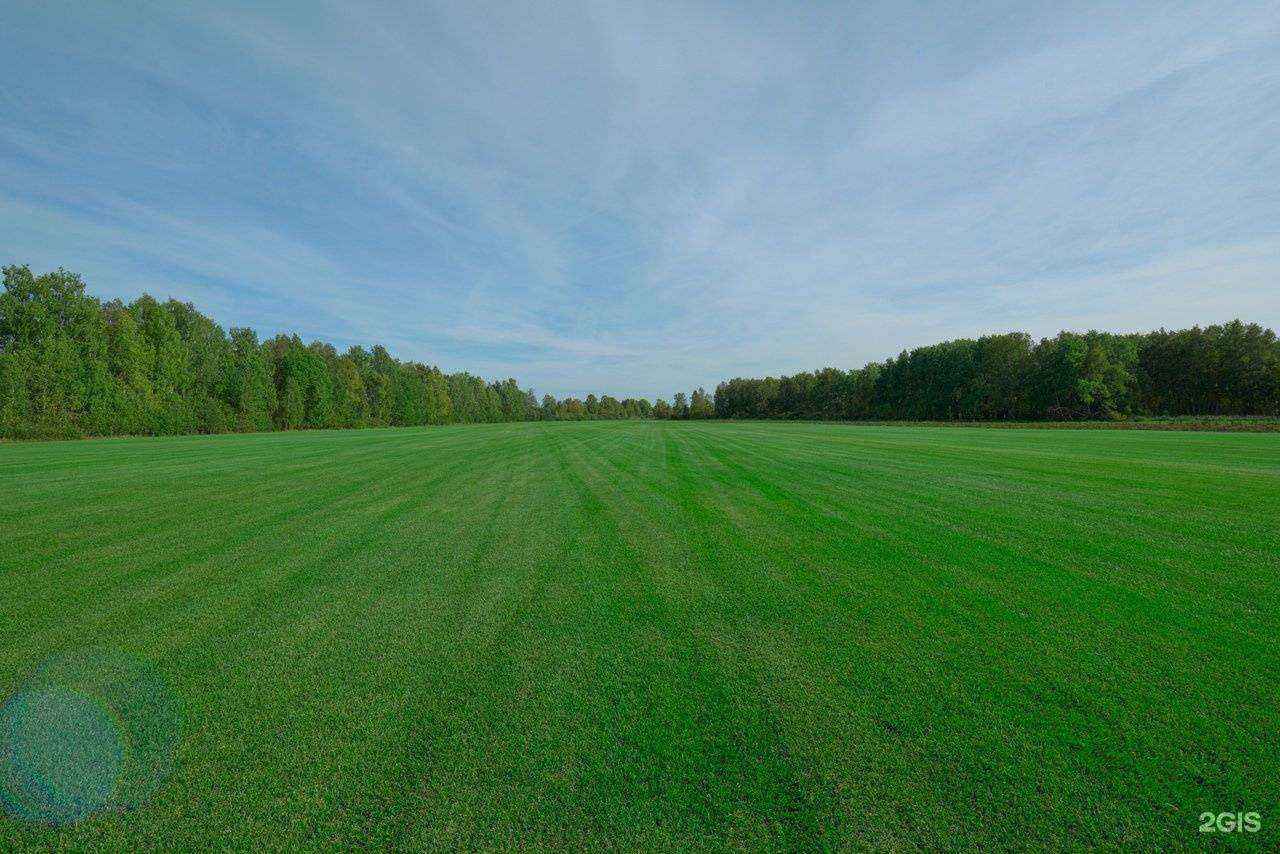 Отзывы на компанию Парк декор в Тюмени c фото