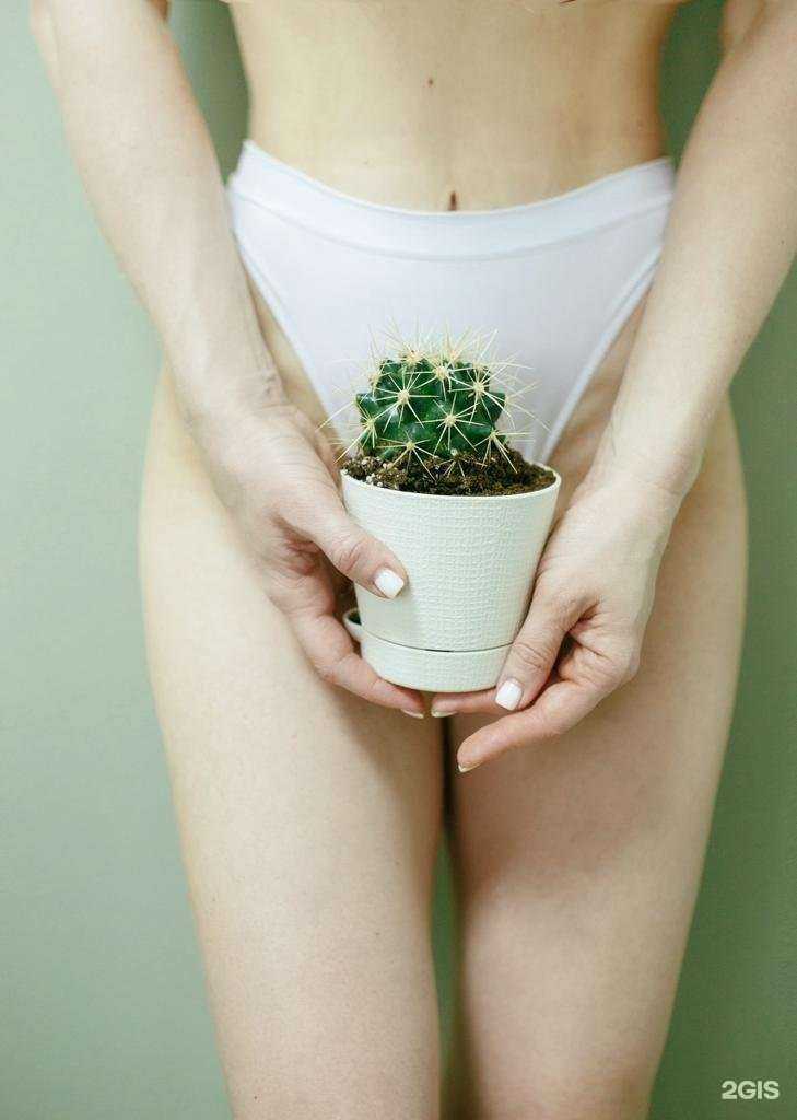 Отзывы на компанию Kaktus_laser в Краснодаре c фото