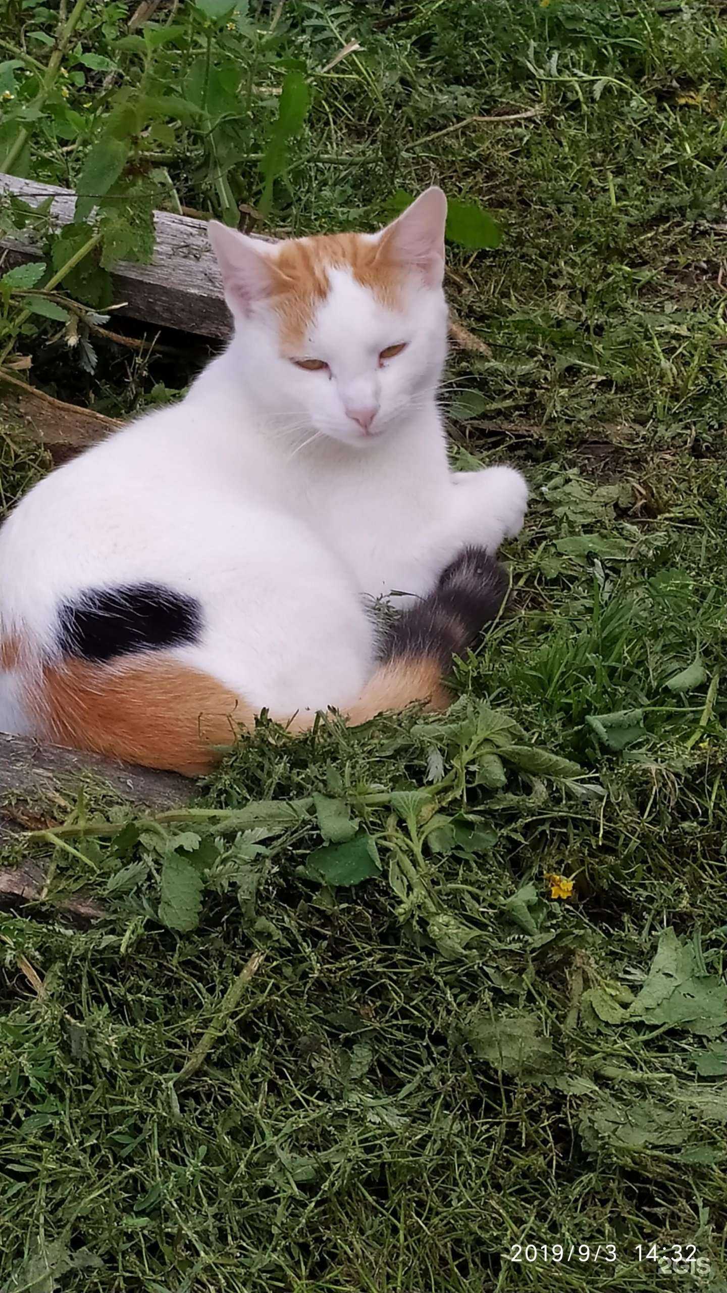 Отзывы на компанию BPW в Калининграде c фото - фотография 2 из 2