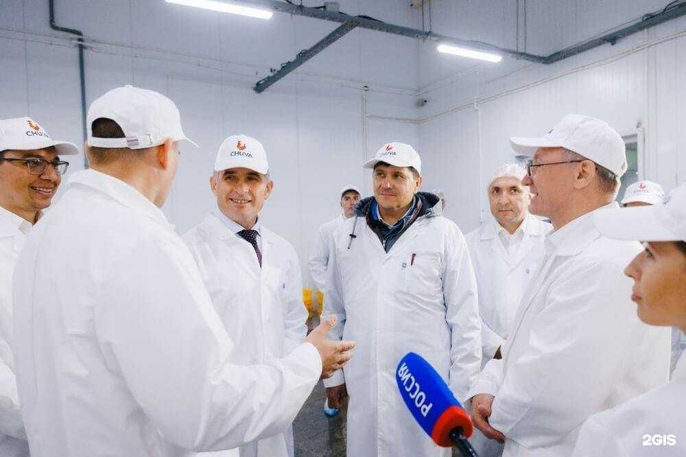 Отзывы на компанию Chuva в г. Чебоксары c фото