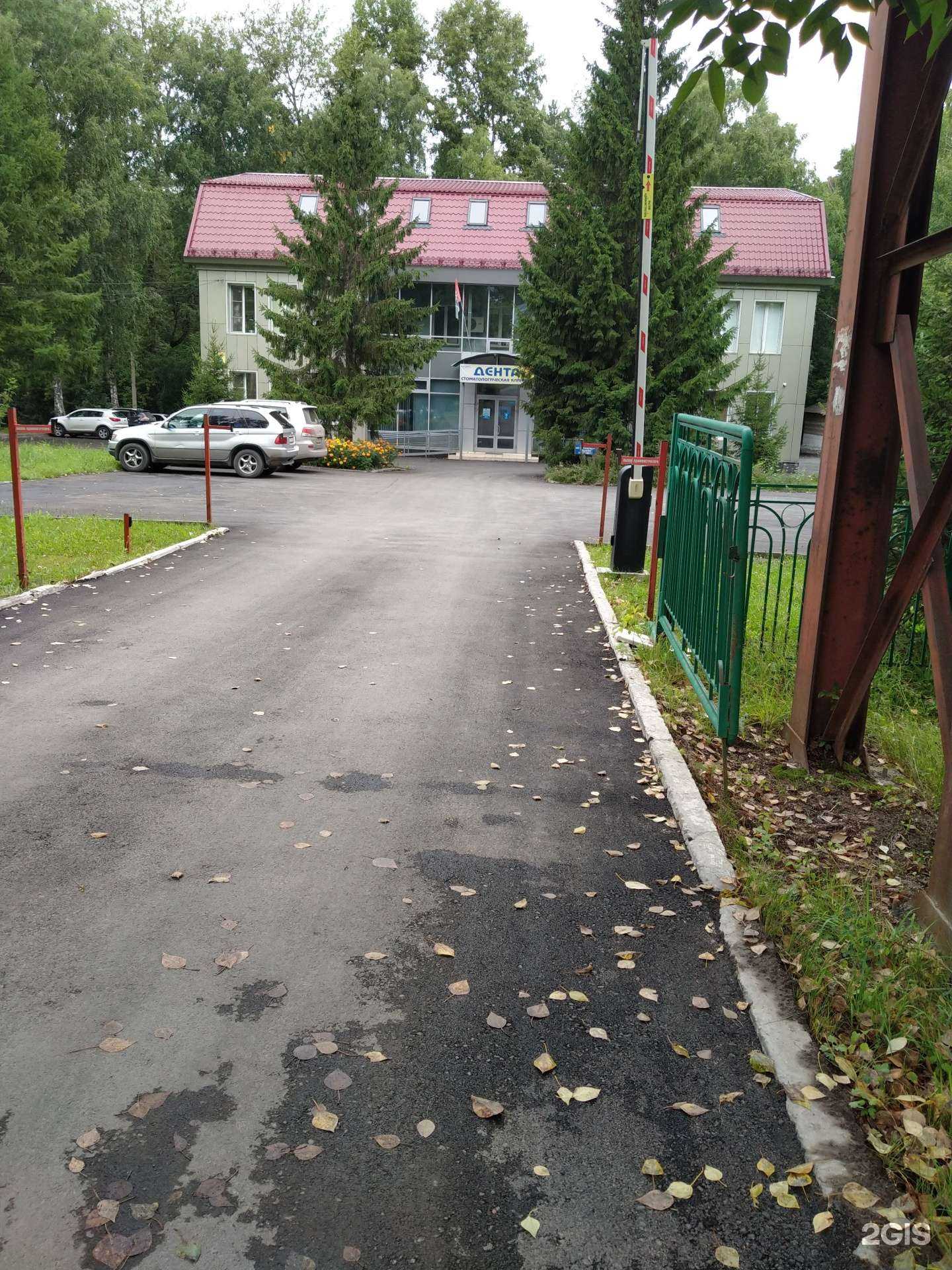 Отзывы на компанию Сибирские медицинские системы в Новосибирске c фото