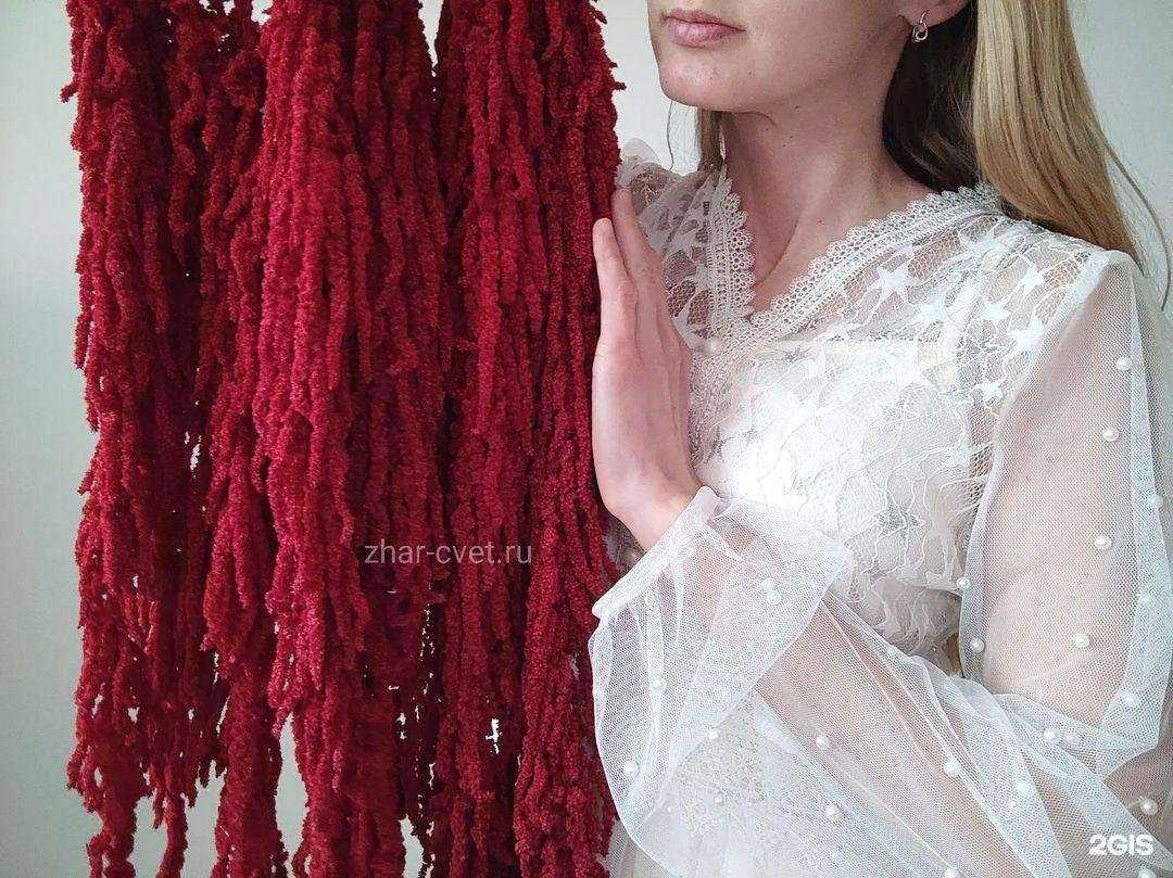 Отзывы на компанию Жар-цвет в Красноярске c фото