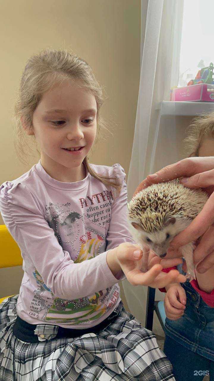 Отзывы на компанию 100%Доброты в г. Новороссийск c фото