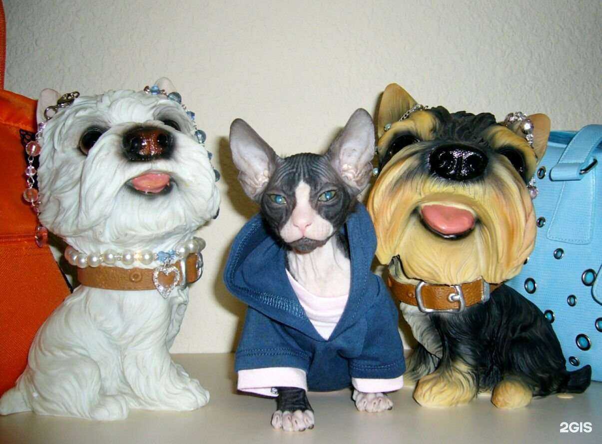 Отзывы на компанию Дока в г. Владивосток c фото