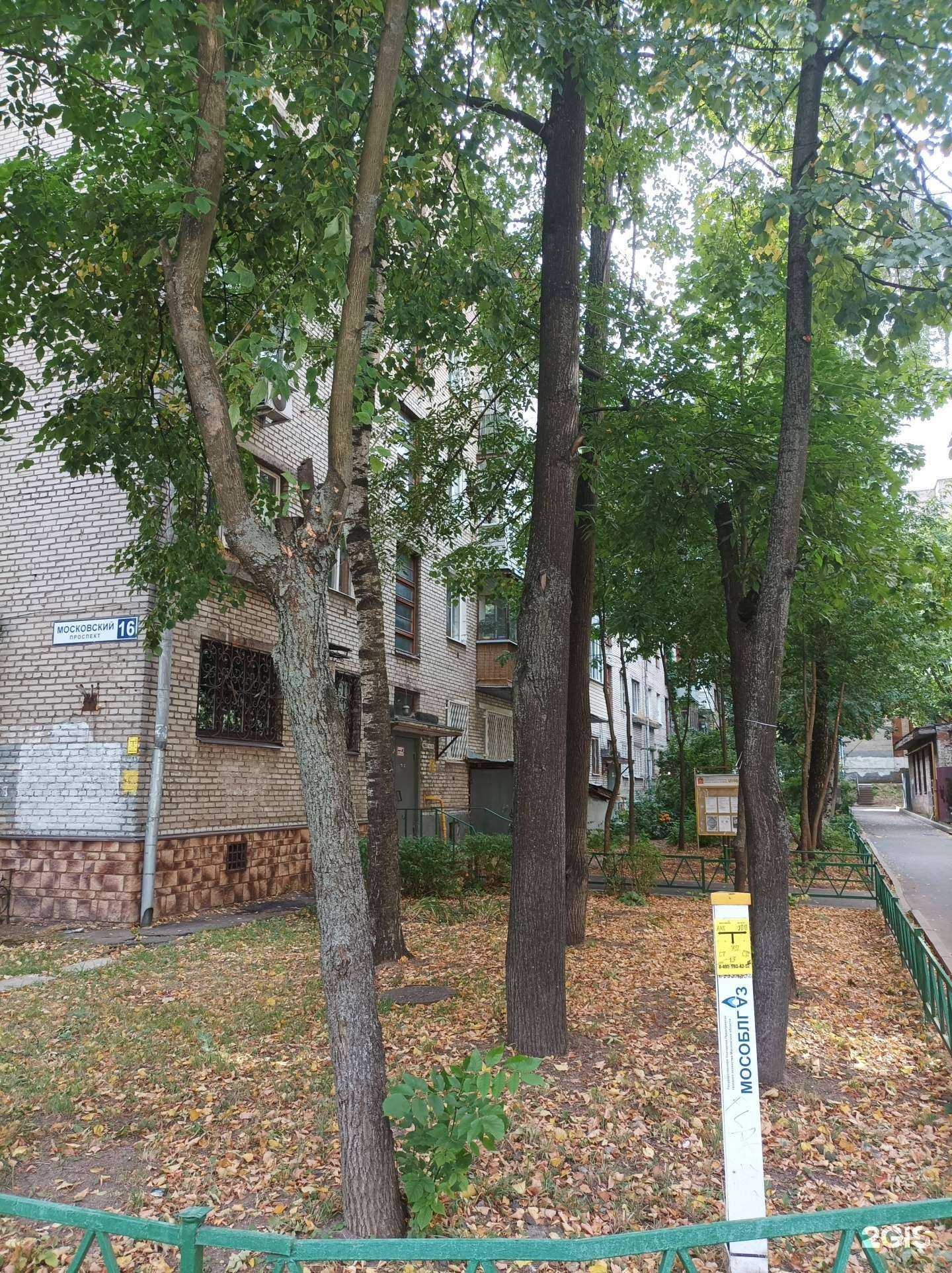 Отзывы на компанию Mr.Boroda в Пушкине c фото - фотография 2 из 2