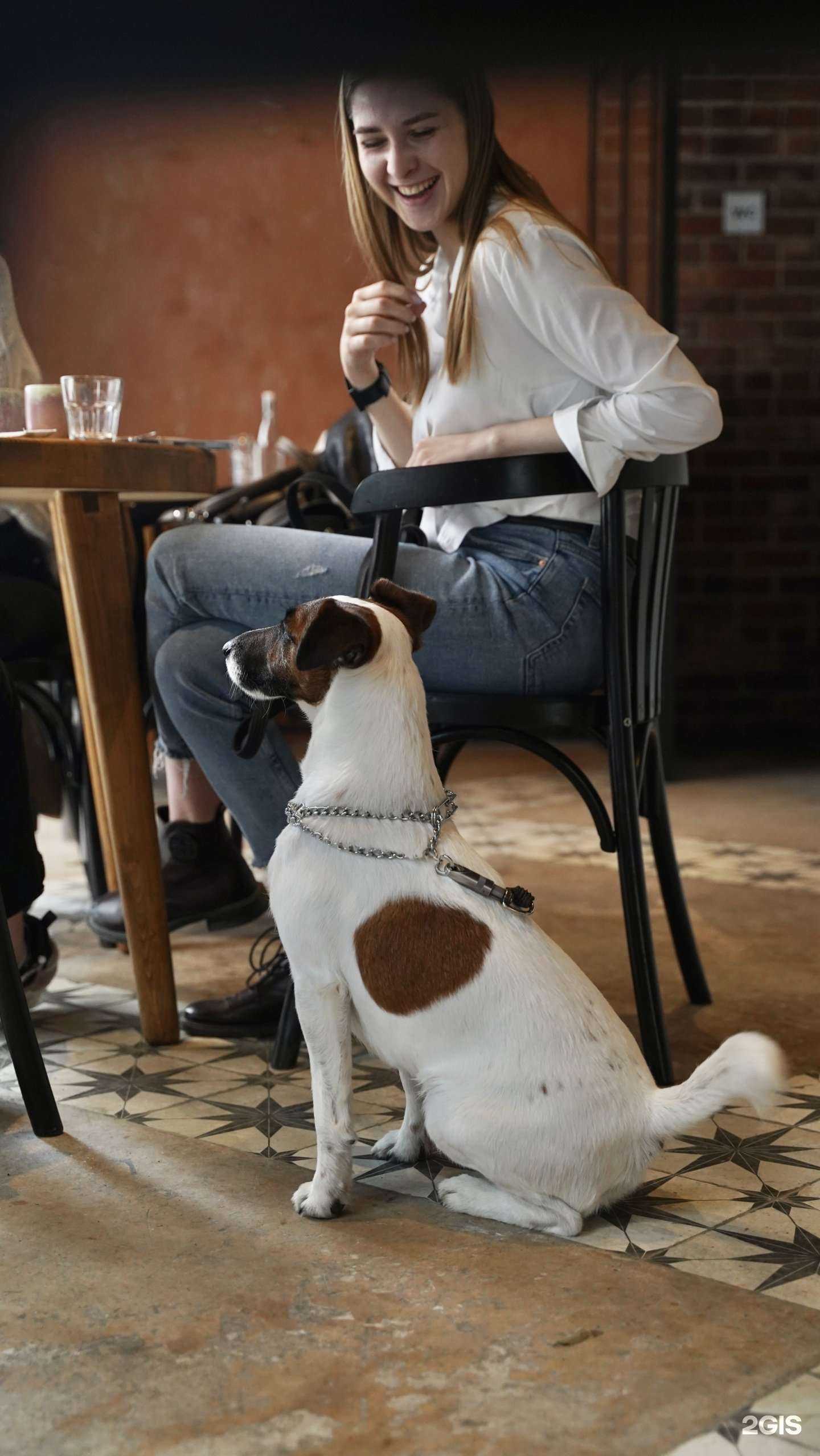 Отзывы на компанию Цех boulangerie в Перми c фото