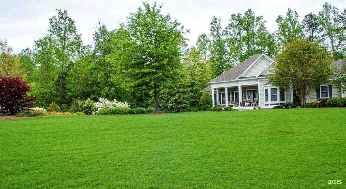 Отзывы на компанию Эльграсс в Химках c фото