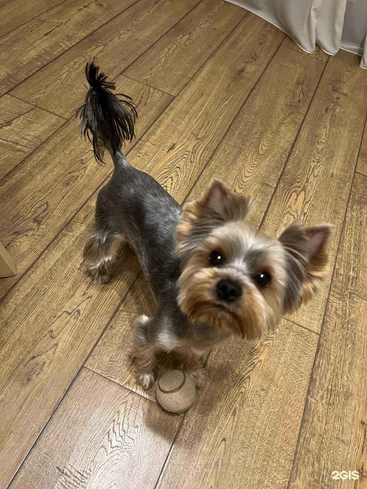 Отзывы на компанию Красный кролик в Новосибирске c фото