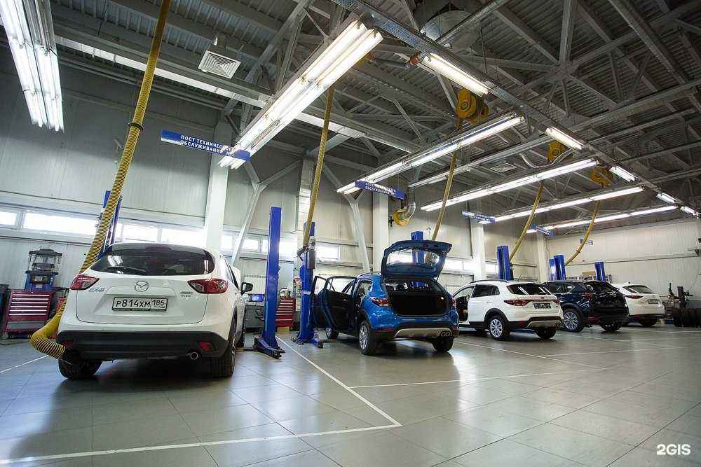 Отзывы на компанию Реал в Барнауле c фото