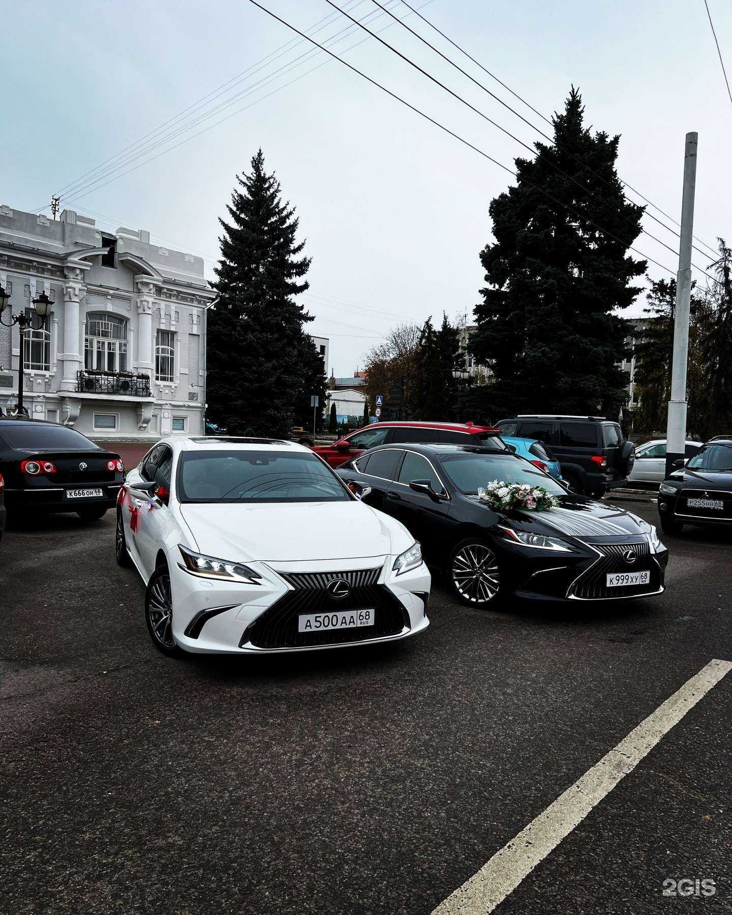 Отзывы на компанию Компания по аренде автомобилей и микроавтобусов в Тамбове c фото