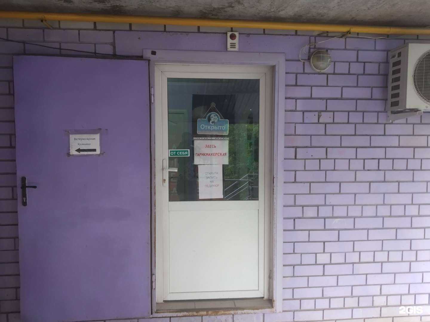 Отзывы на компанию Фиалка в Саратове c фото