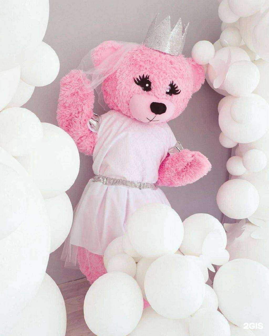 Отзывы на компанию Котики-Муркотики в Красноярске c фото