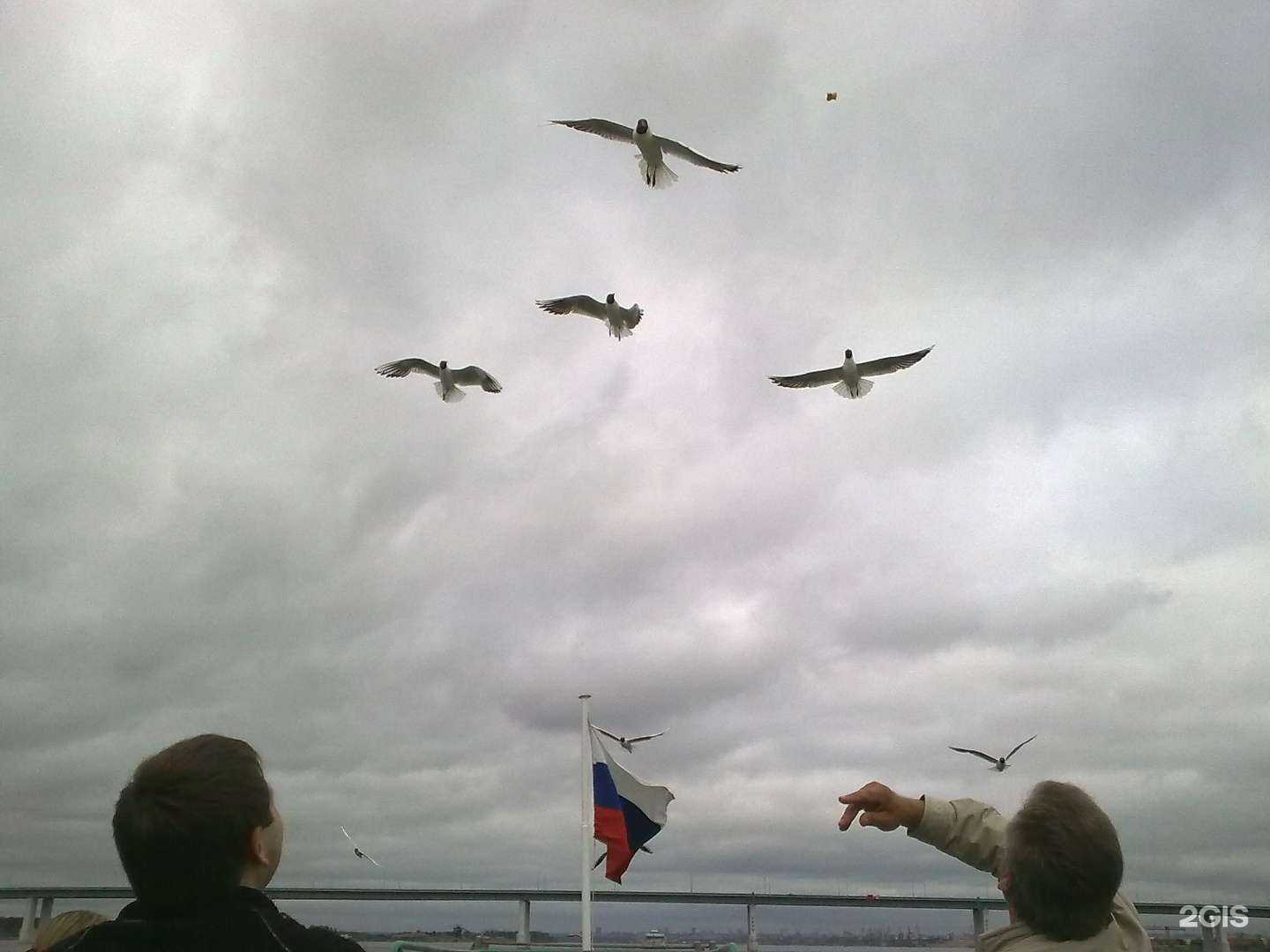 Отзывы на компанию Адвокатский кабинет Нуруллина Р.У. в Перми c фото