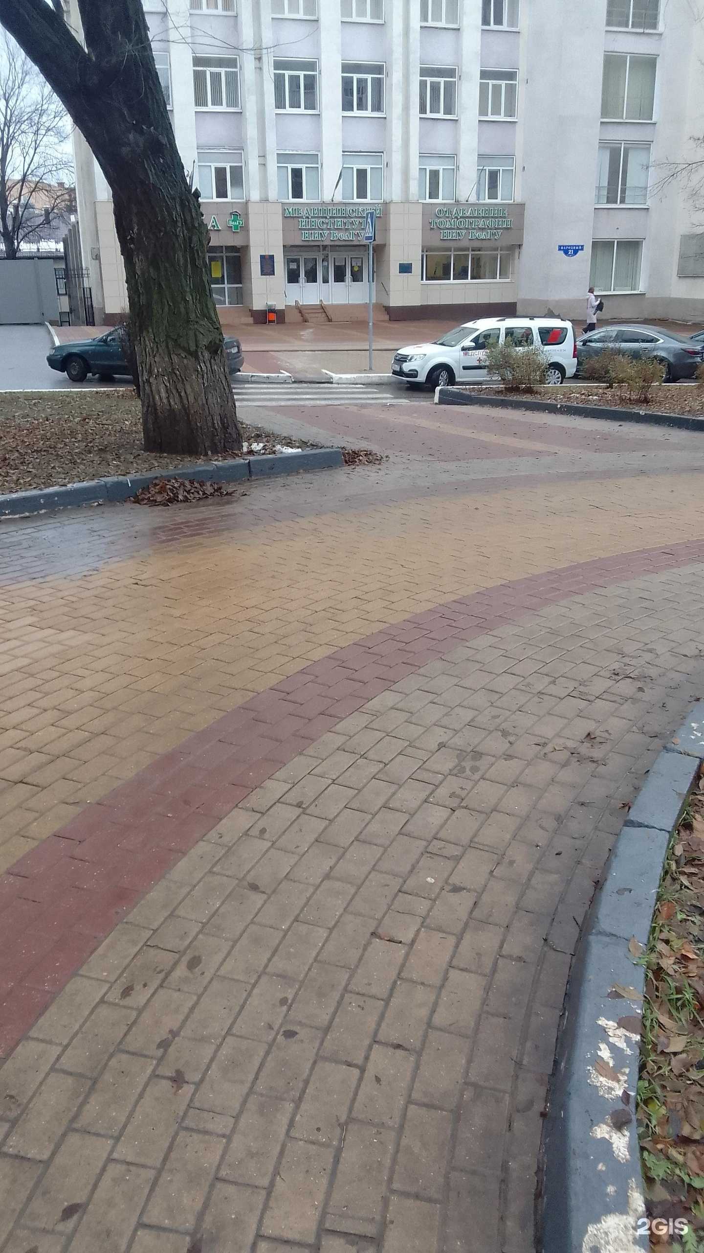 Отзывы на компанию Белгородский государственный национальный исследовательский университет в Белгороде c фото