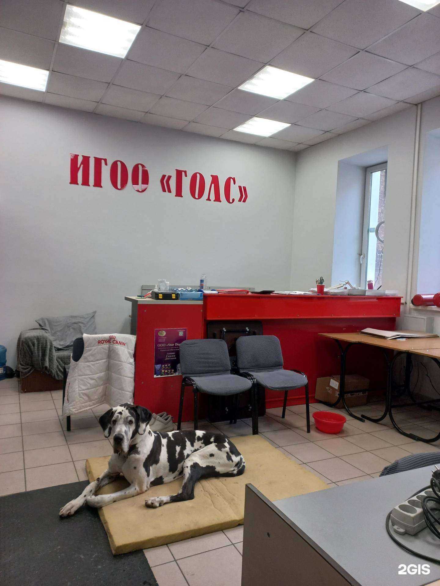 Отзывы на компанию Городское общество любительского собаководства в Иркутске c фото