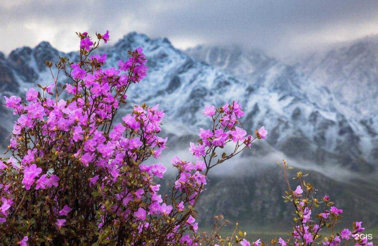Отзывы на компанию Алвитта в г. Бийск c фото