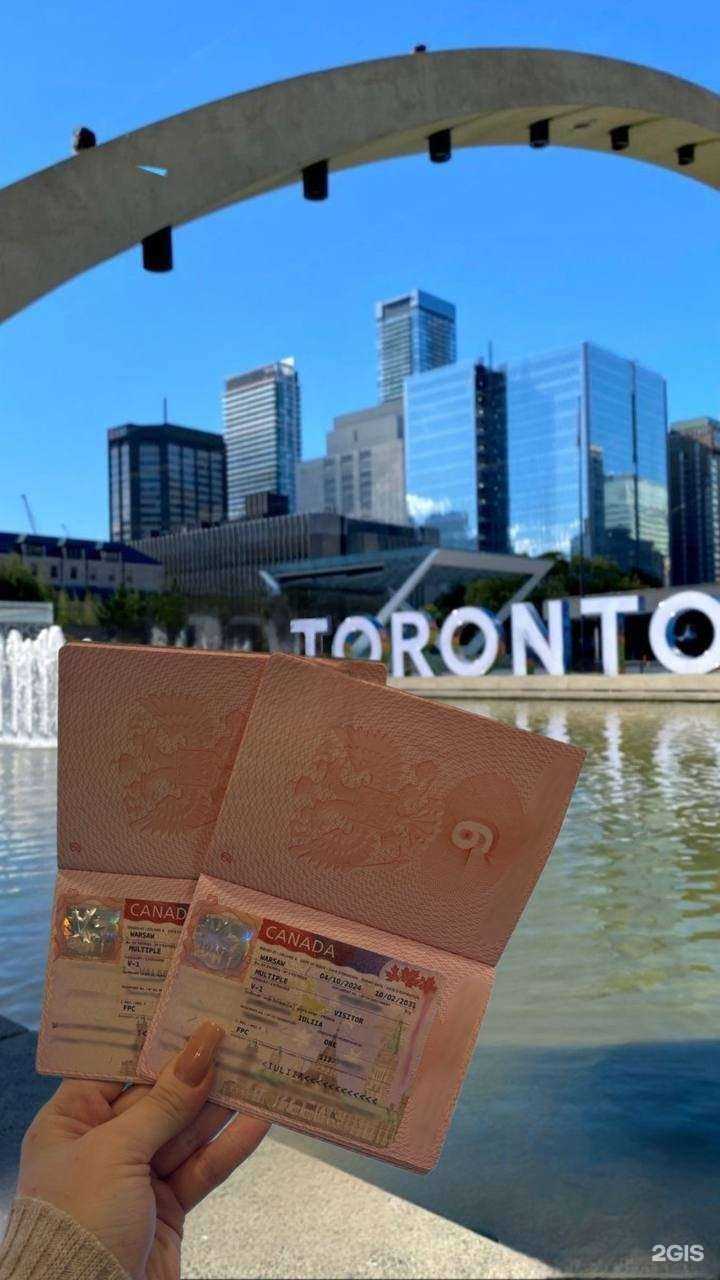 Отзывы на компанию Твоя виза в Хабаровске c фото