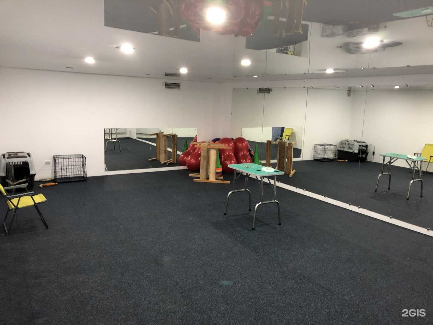 Отзывы на компанию Zoомания в г. Владивосток c фото