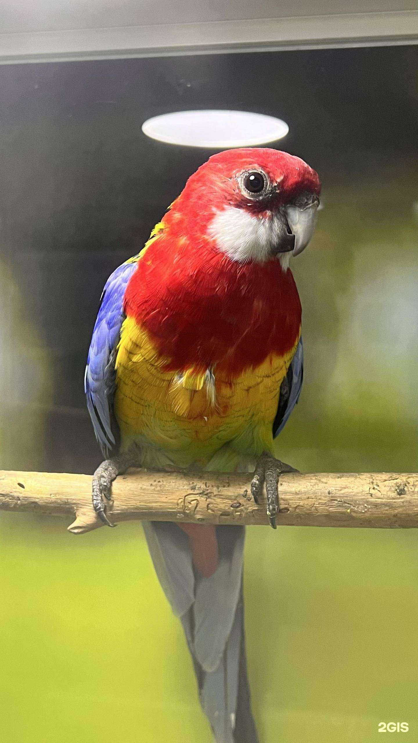 Отзывы на компанию Золотая рыбка в Саратове c фото