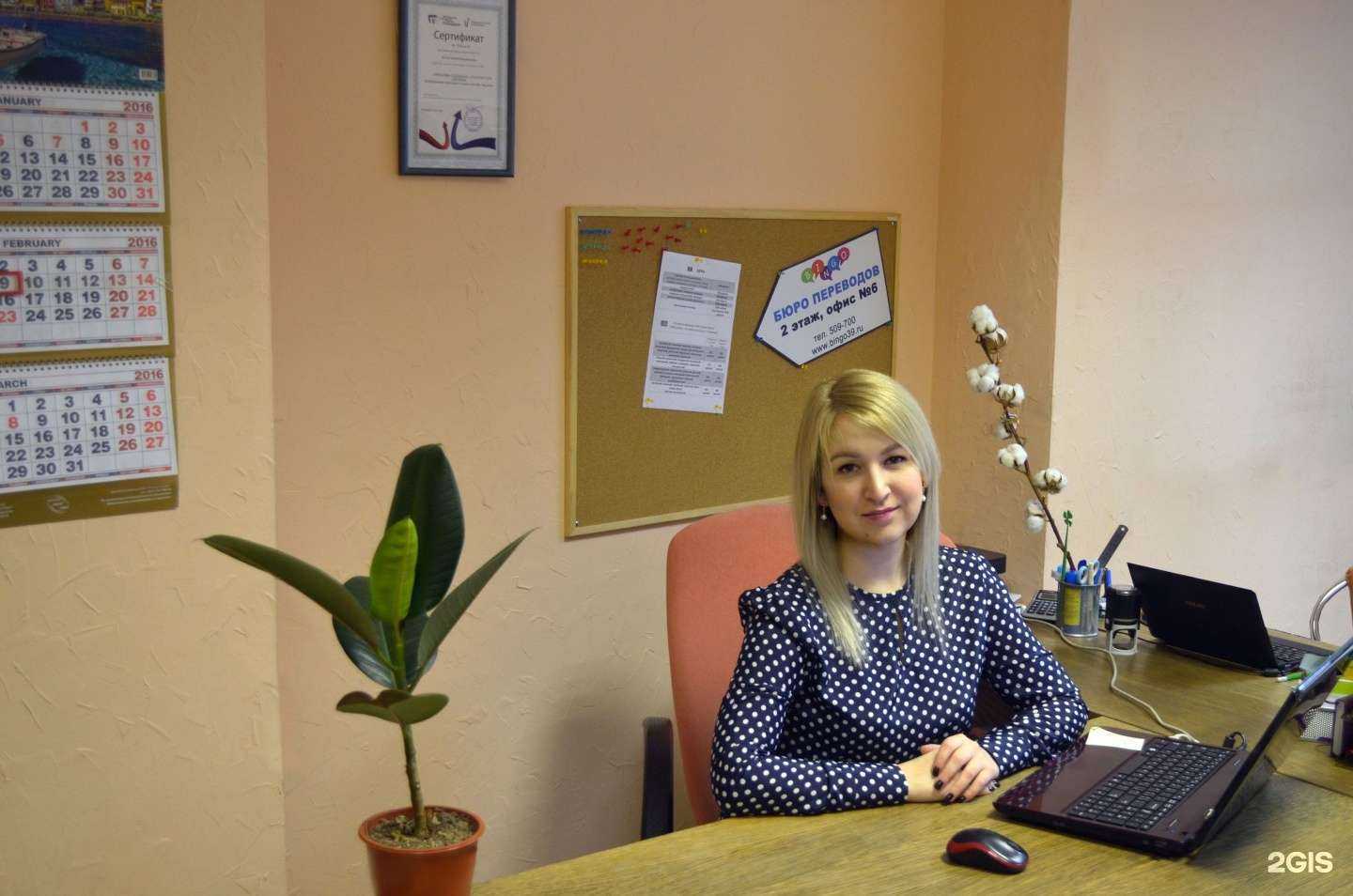 Отзывы на компанию Bingo в г. Калининград c фото