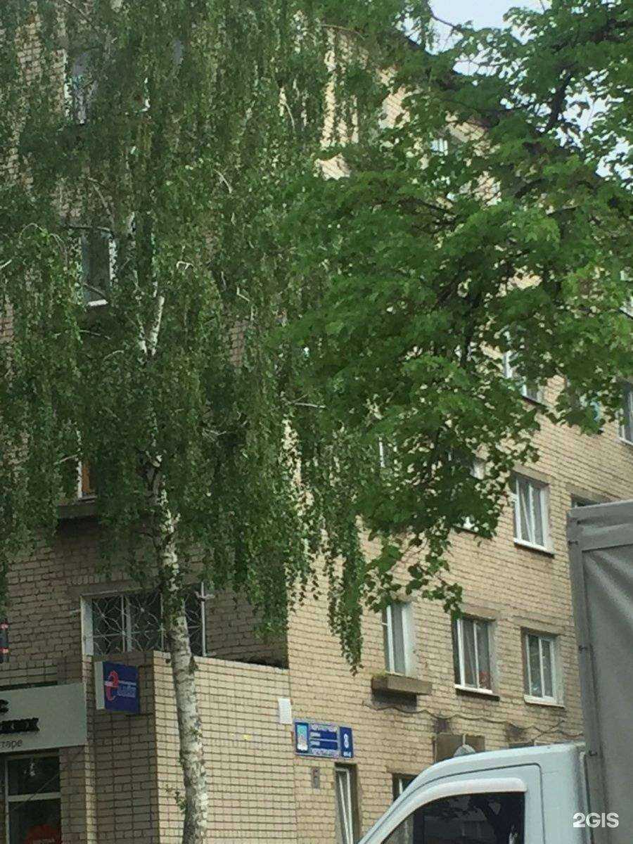 Отзывы на компанию Ял в Набережных Челнах c фото