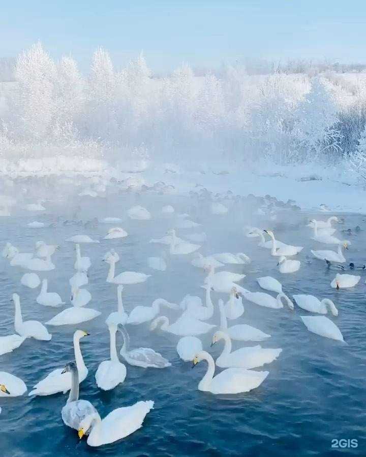 Отзывы на компанию Алеан в г. Сочи c фото
