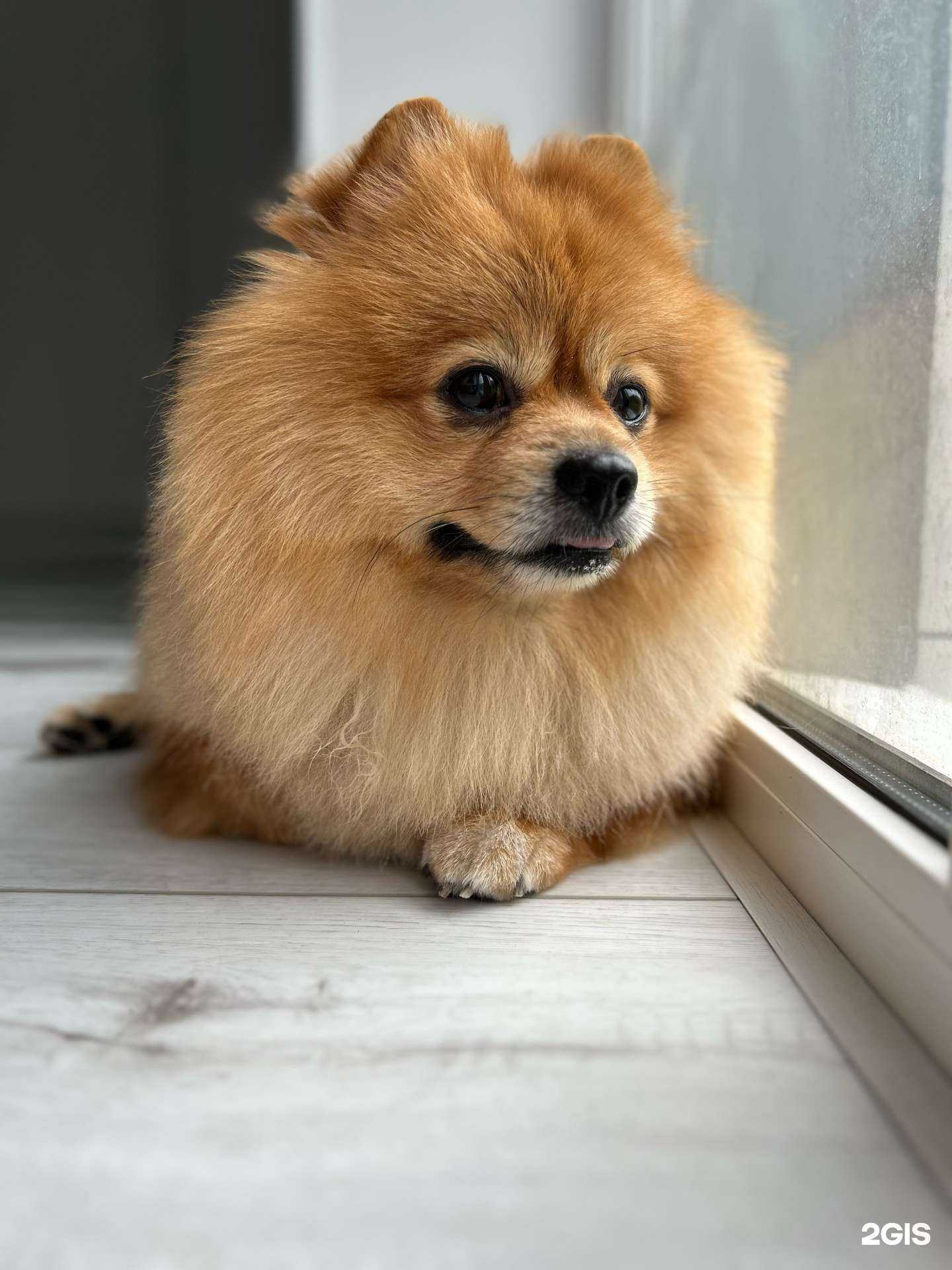 Отзывы на компанию Barbie groom в г. Березники c фото