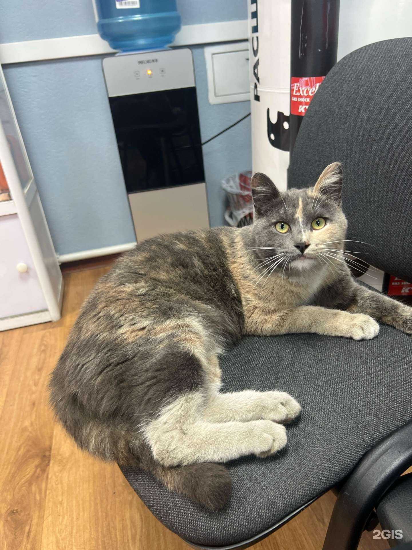 Отзывы на компанию Регион в г. Владивосток c фото