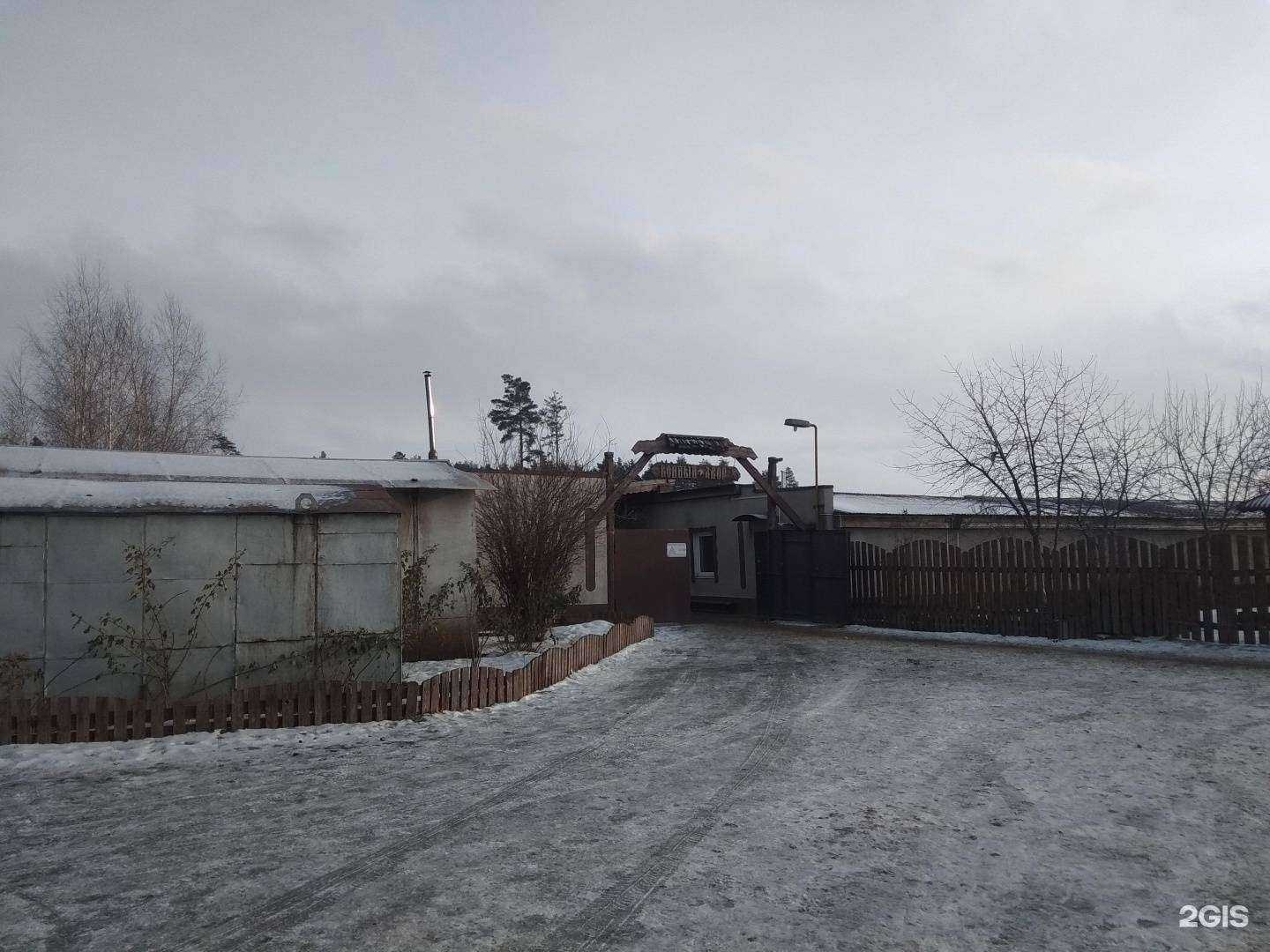 Отзывы на компанию Loshadi_Lipetsk в Липецке c фото - фотография 2 из 2