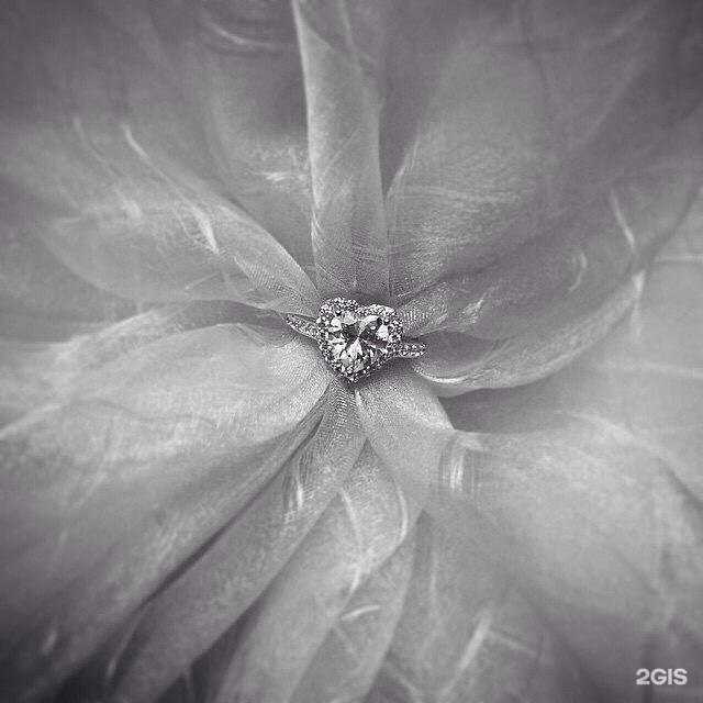 Отзывы на компанию Sunlight в Томске c фото