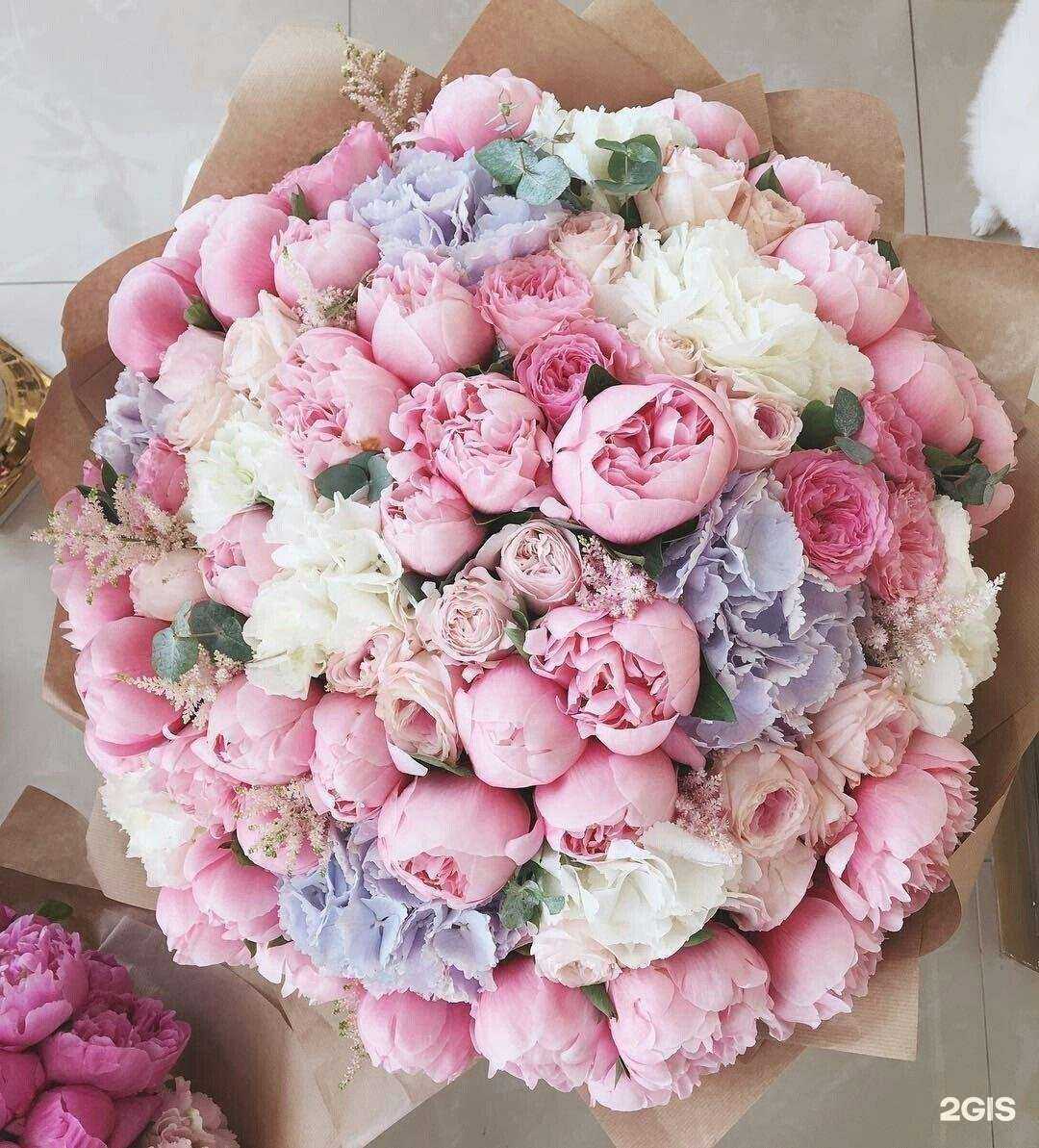 Отзывы на компанию Royal Garden в Краснодаре c фото