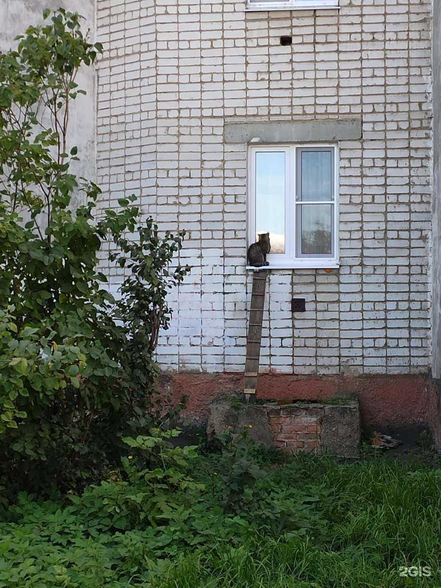 Отзывы на компанию Автодор М в Йошкар-Оле c фото - фотография 2 из 2