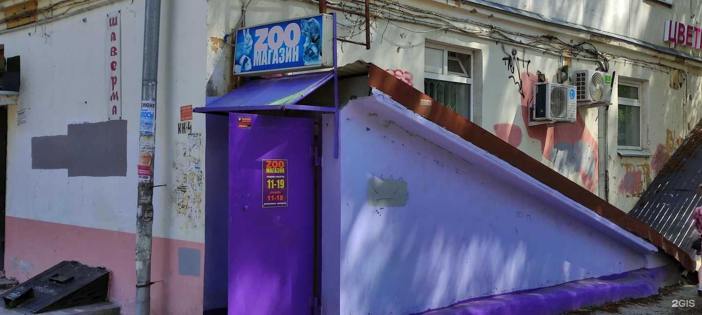 Отзывы на компанию Zooдрузья в Перми c фото