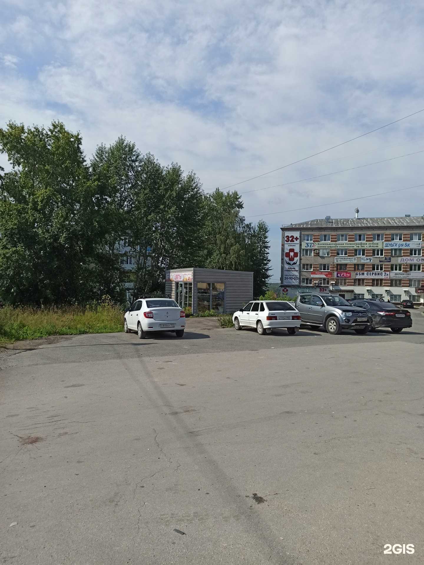 Отзывы на компанию Магазин цветов и семян в Березниках c фото