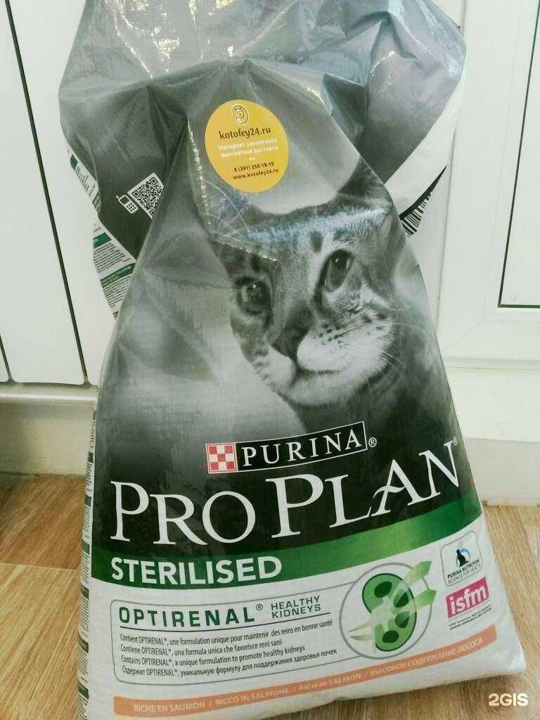 Отзывы на компанию Котофей в г. Красноярск c фото