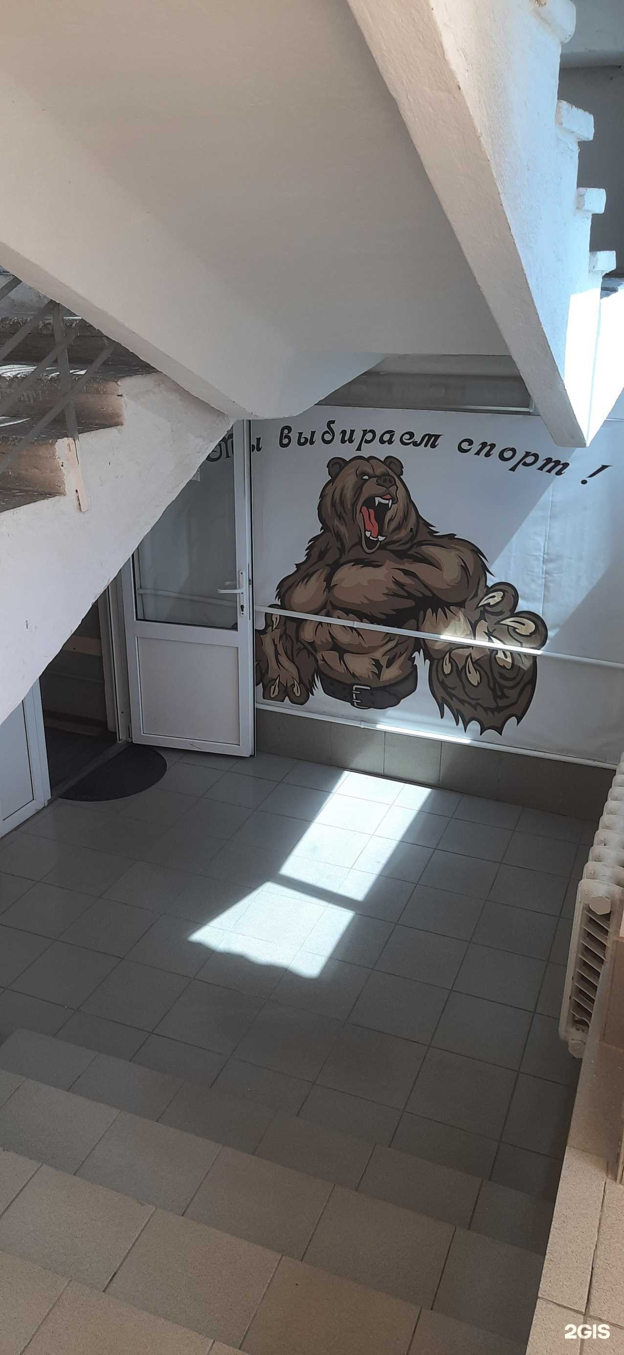 Отзывы на компанию Медведь в Нальчике c фото