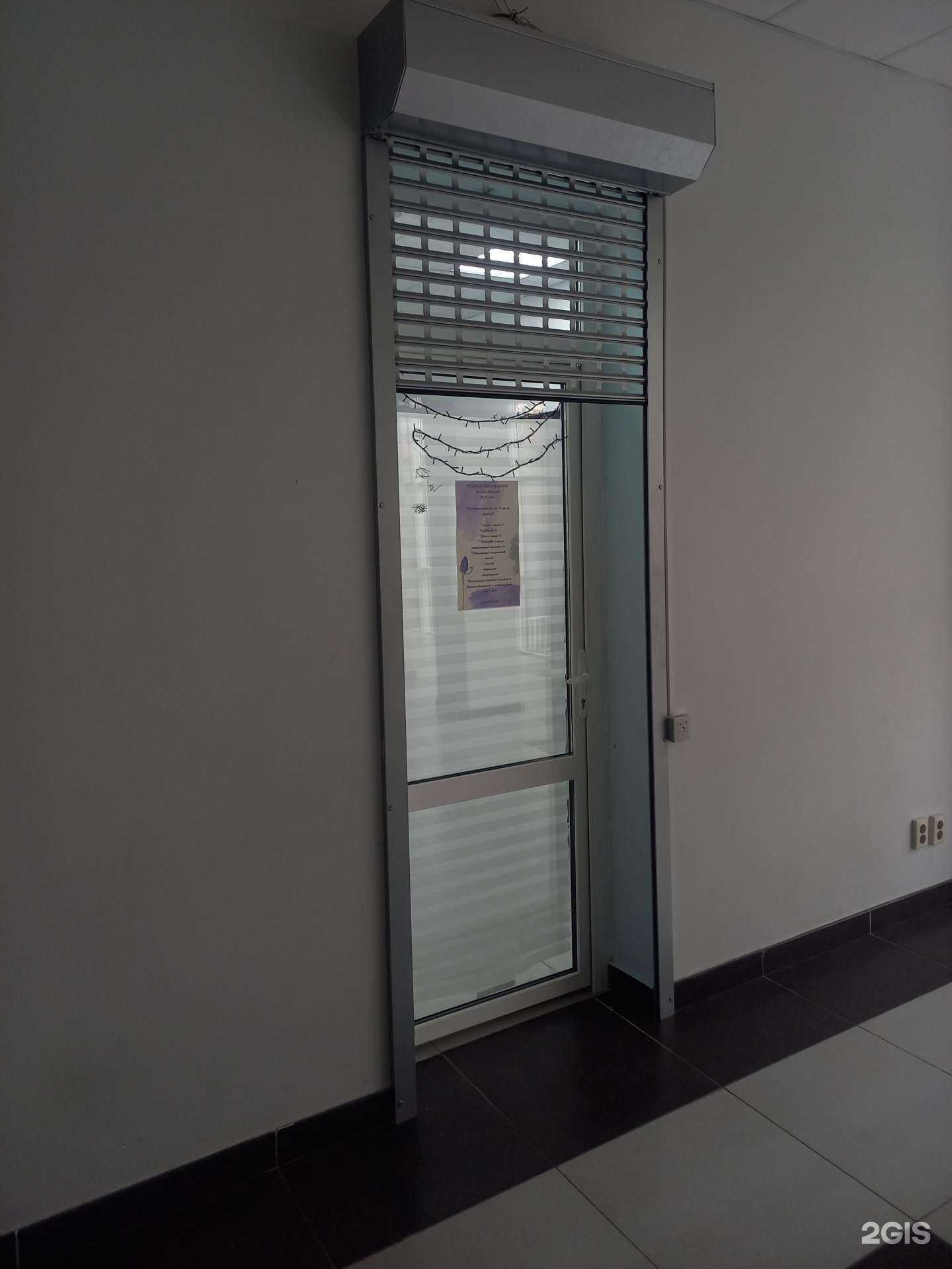 Отзывы на компанию Академия Монсиков в Сочи c фото