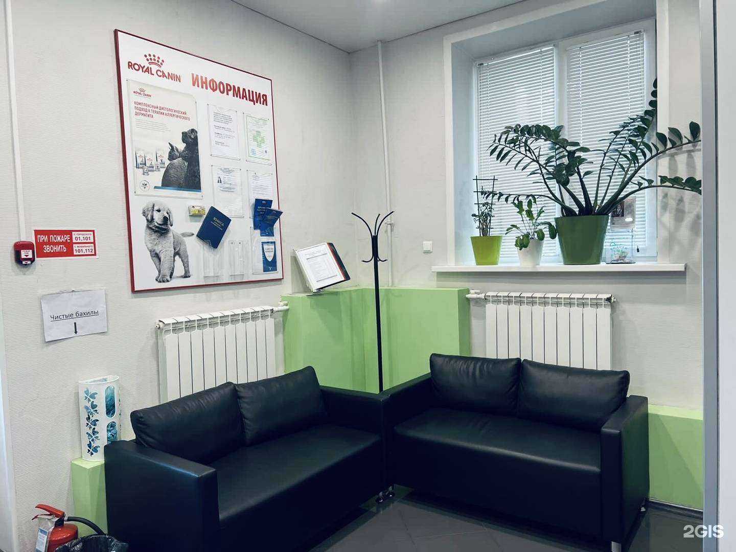 Отзывы на компанию Зоовет36 в Воронеже c фото