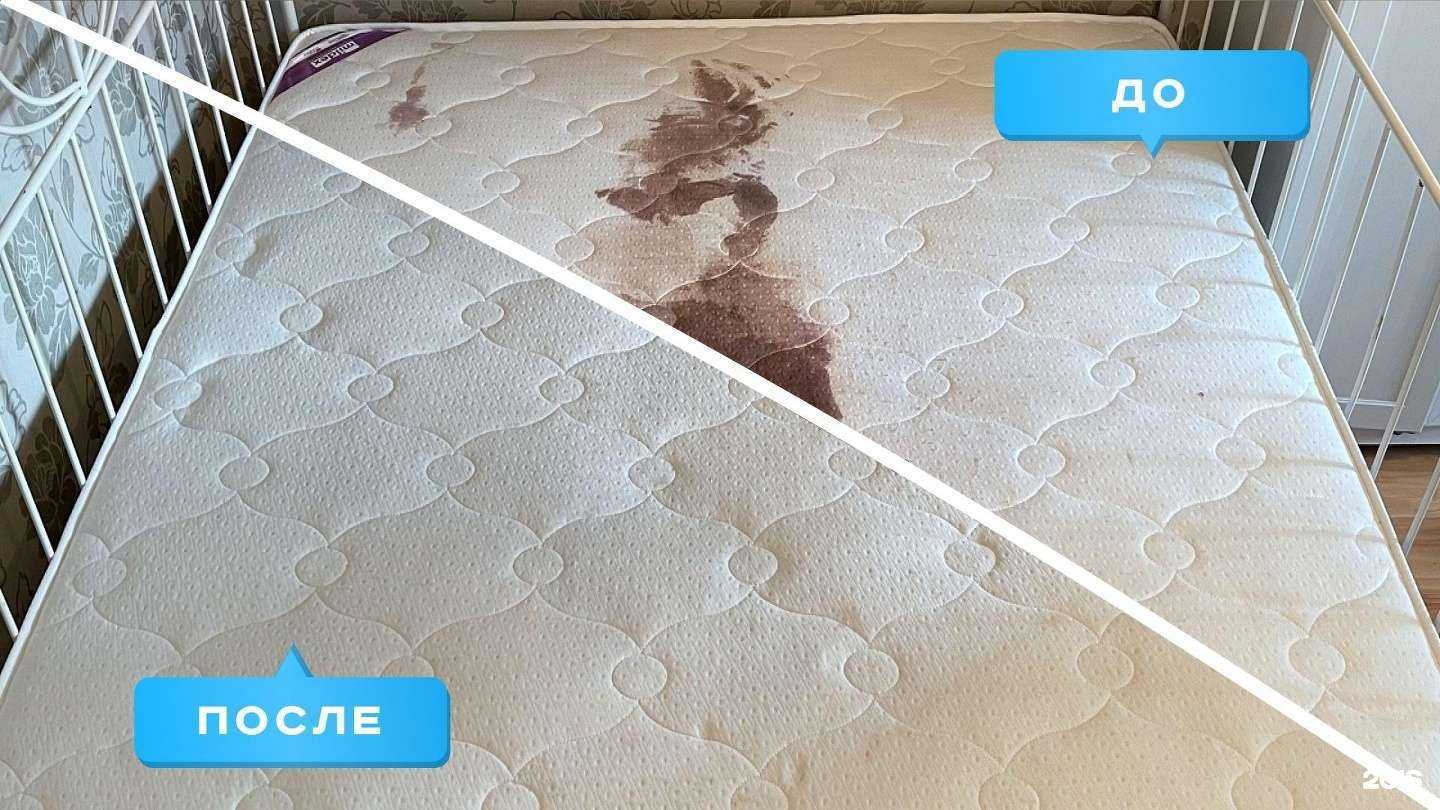 Отзывы на компанию Служба химчистки мебели и ковров в г. Ижевск c фото