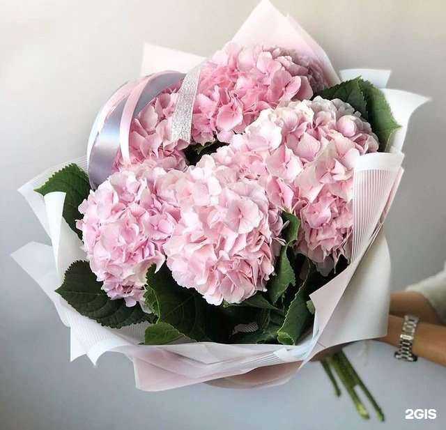 Отзывы на компанию Мари в Томске c фото