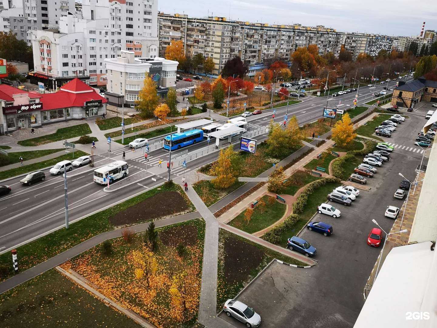 Отзывы на компанию Русские гвозди в Белгороде c фото - фотография 2 из 2
