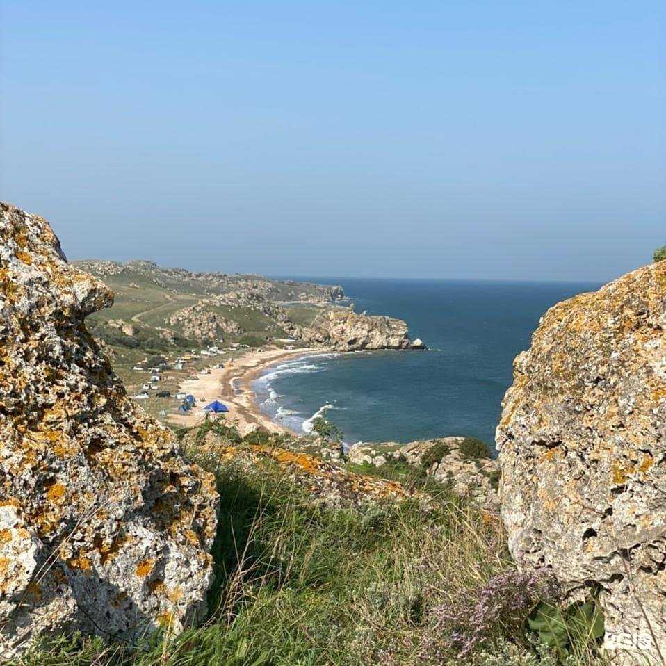 Отзывы на компанию Реноме онлайн в Краснодаре c фото