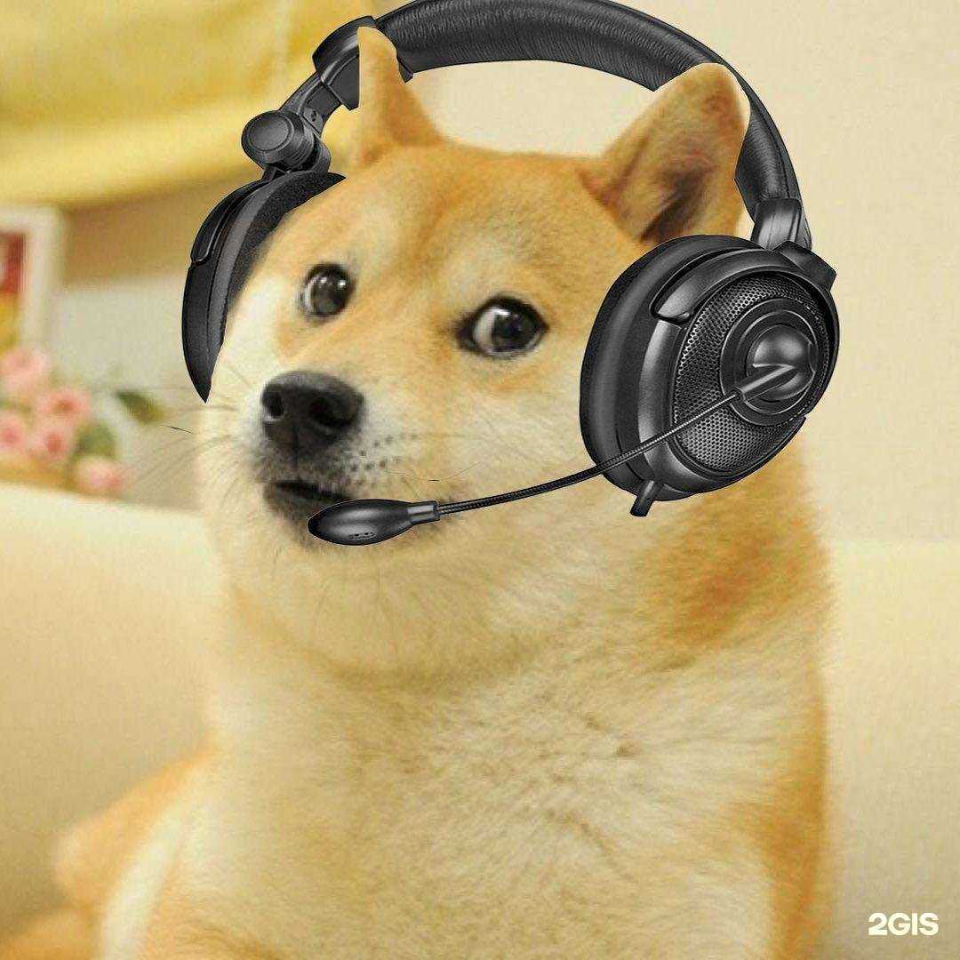 Отзывы на компанию Кормушка в г. Екатеринбург c фото