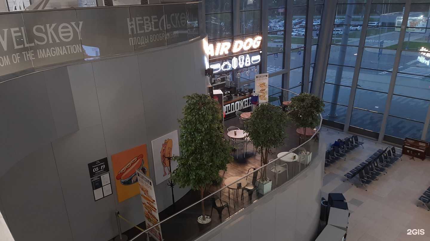 Отзывы на компанию Air Dog в Хабаровске c фото