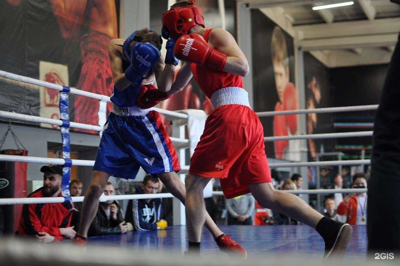 Отзывы на компанию Golden Fighter в Нижнем Новгороде c фото