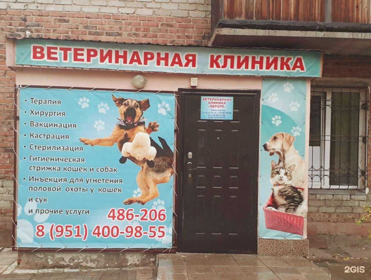 Отзывы на компанию Аврора в Омске c фото