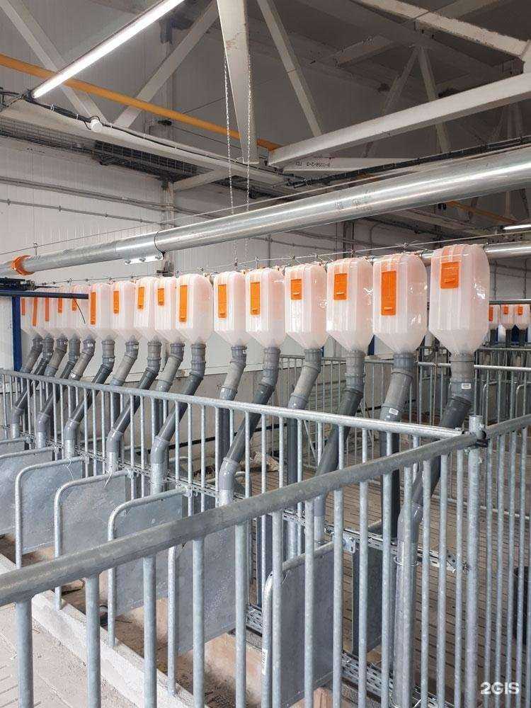 Отзывы на компанию Агроспецстрой в г. Новосибирск c фото