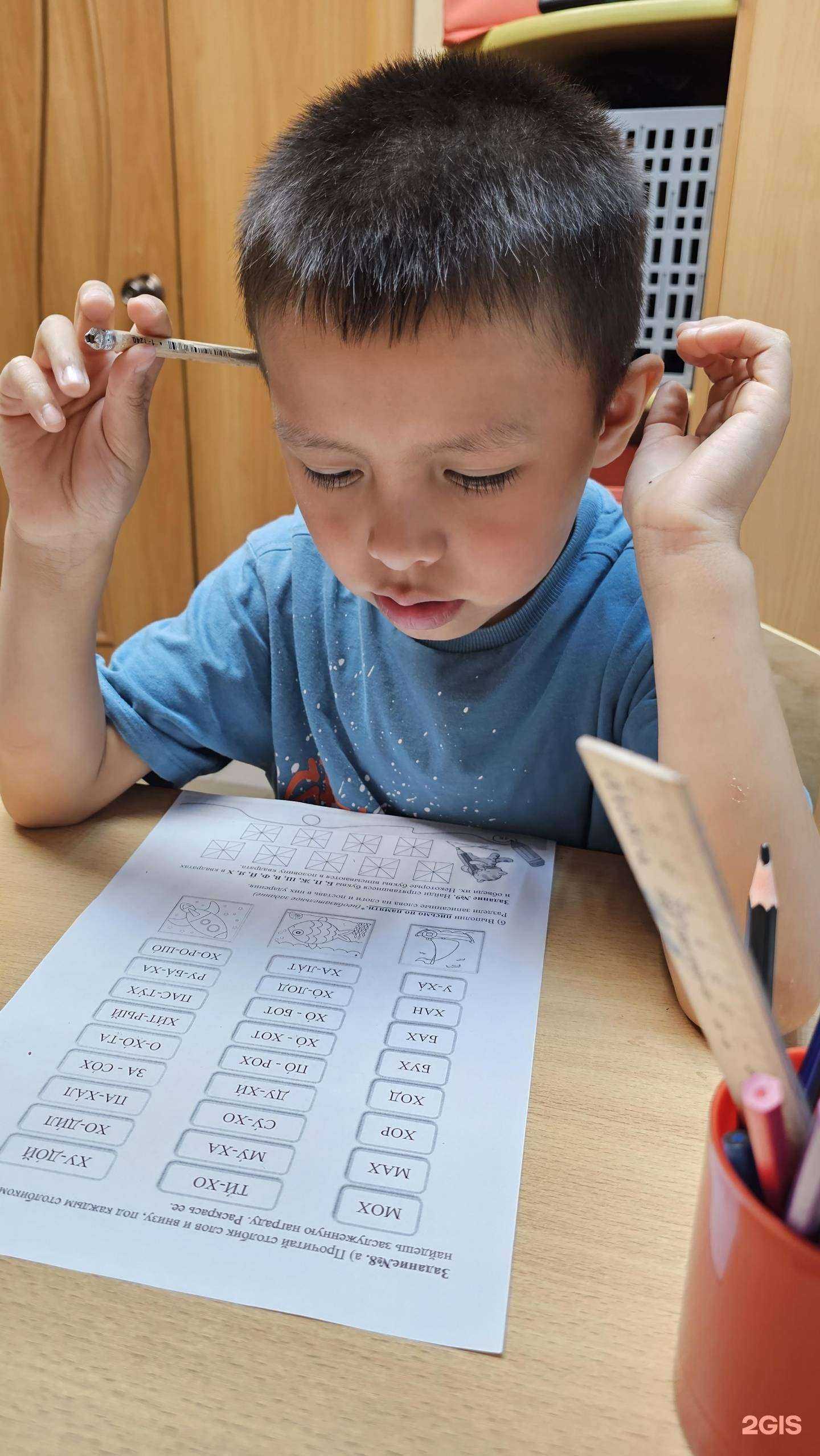 Отзывы на компанию Осьминожки в г. Петропавловск-Камчатский c фото