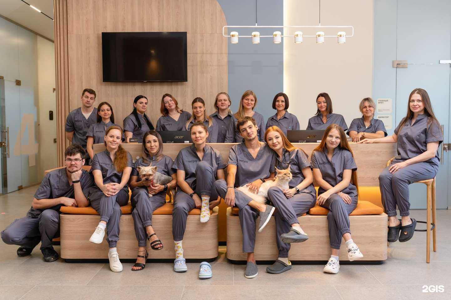 Отзывы на компанию Vetjoy в Геленджике c фото