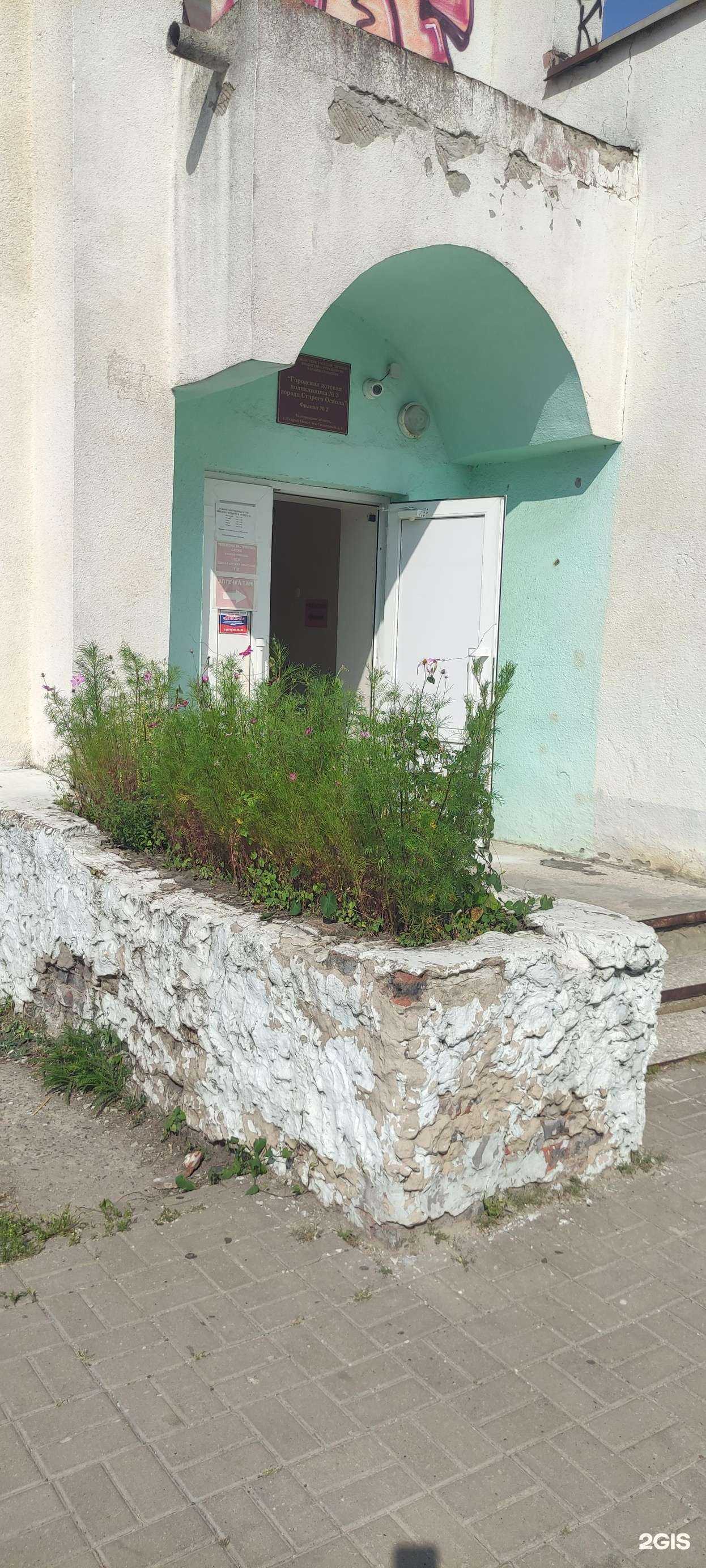 Отзывы на компанию Городская детская поликлиника №3 г. Старого Оскола в г. Старый Оскол c фото